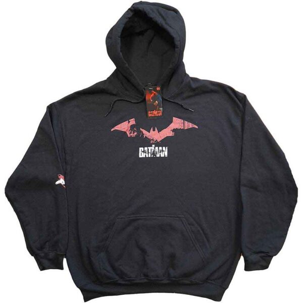 DC Comics Unisex Pullover Hoodie