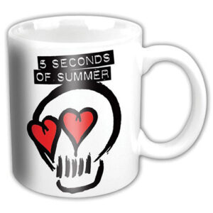 5 Seconds of Summer Boxed Mug