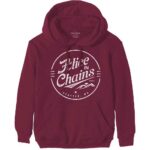 Alice In Chains Unisex Pullover Hoodie