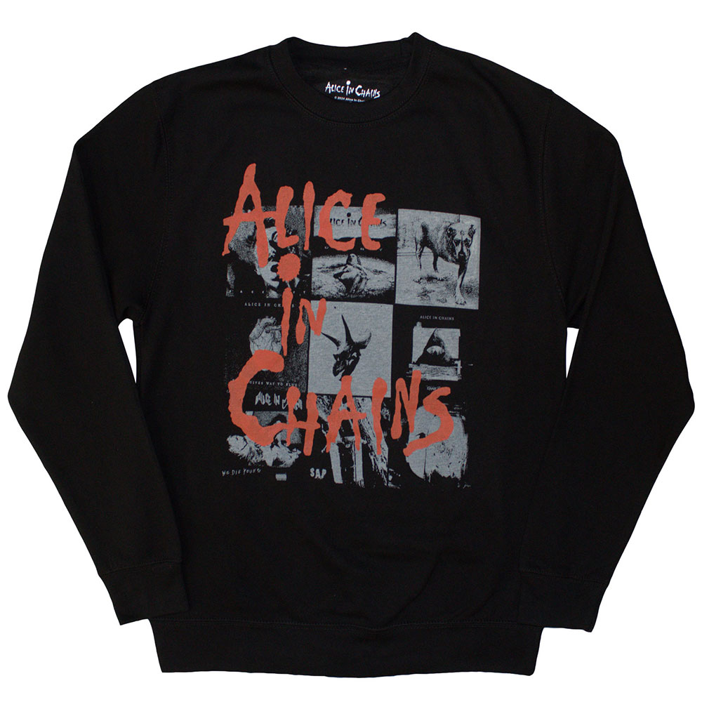 Alice In Chains Unisex Sweatshirt