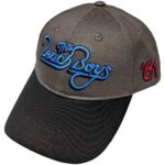 The Beach Boys Unisex Baseball Cap