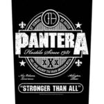 Pantera Back Patch