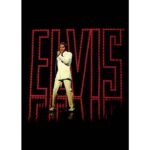 Elvis Presley Postcard