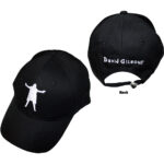David Gilmour Unisex Baseball Cap