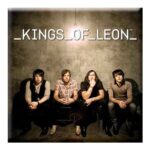 Kings of Leon Fridge Magnet