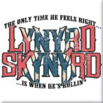 Lynyrd Skynyrd Fridge Magnet