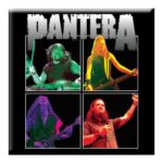 Pantera Fridge Magnet