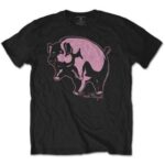 Pink Floyd Unisex T-Shirt