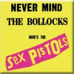 The Sex Pistols Fridge Magnet
