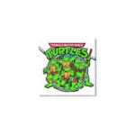 Teenage Mutant Ninja Turtles Fridge Magnet