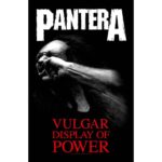 Pantera Textile Poster